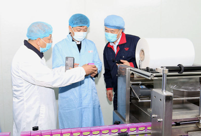 河北省商务厅领导到远征药业进行出口业务调研